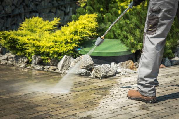 Animal Enclosure Cleaning in Reiffton, PA