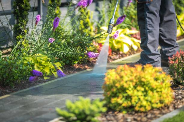 Best Dumpster Area Cleaning  in Reiffton, PA